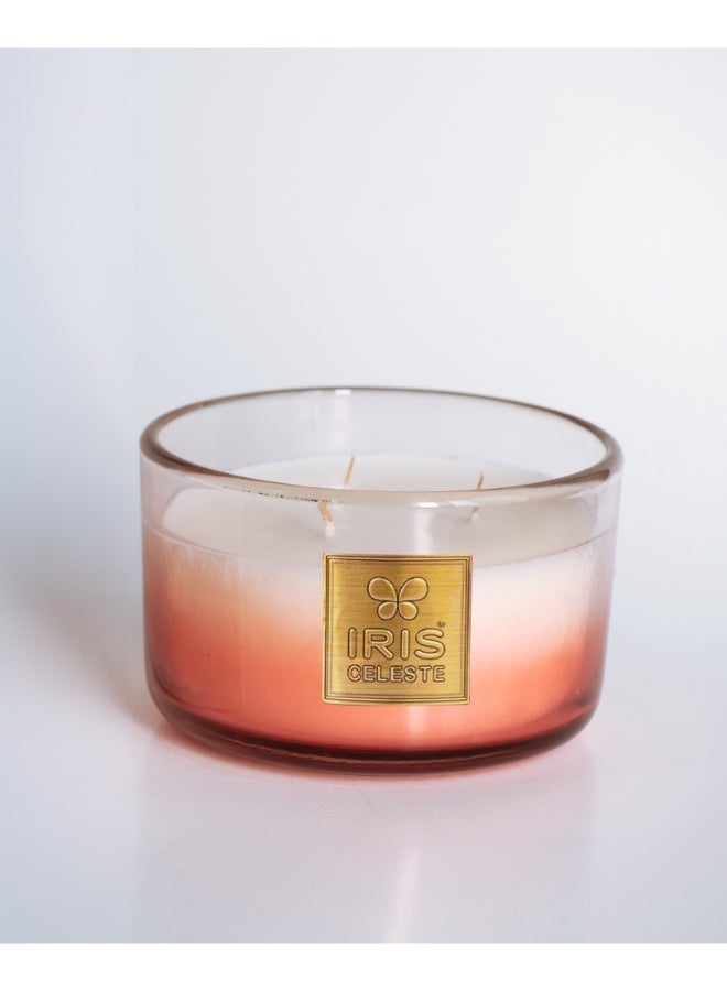 IRIS CELESTE شمعة جرة موهاجاني والمسك 425 جرام - شمعة معطرة 3 فتائل 15 أونصة | 50 ساعة وقت احتراق | مثالية للهدايا، ديكور المنزل، الحفلات وعطر الغرف | مثالية لديكور غرفة المعيشة والمكتب - Image 2